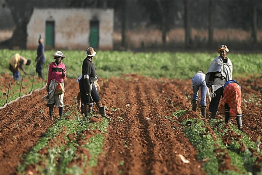 Agricultural Growth Achievable Through Skilled Manpower
